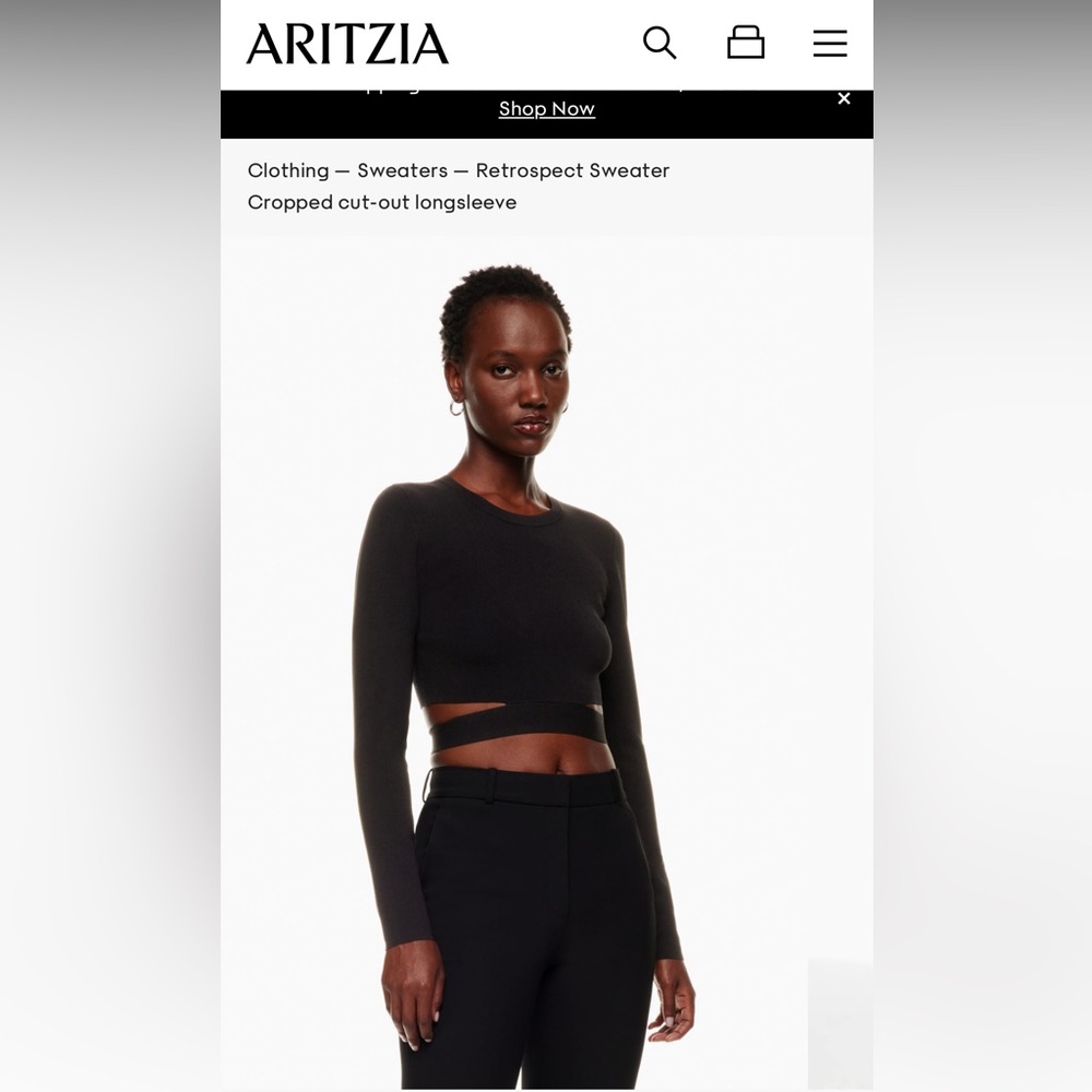 Aritzia Ten by Babaton Retrospect sweater
